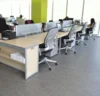 Forbo Marmoleum Real