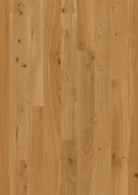 BOEN Eg Animoso, Plank 
