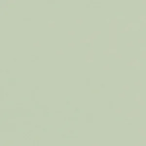 Bordlinoleum - Forbo Furniture Desktop Pistachio