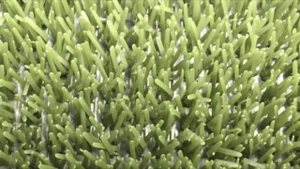 Astroturf måtte grøn 