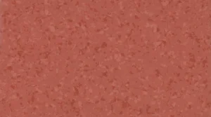 6055 Tomato