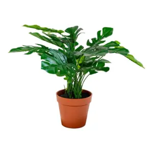 Kunstig Monstera plante, 45 cm.