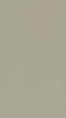 DLW Uni Walton linoleum, Warm Concrete Grey 