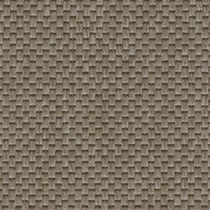 Ege Fusion, Dark beige