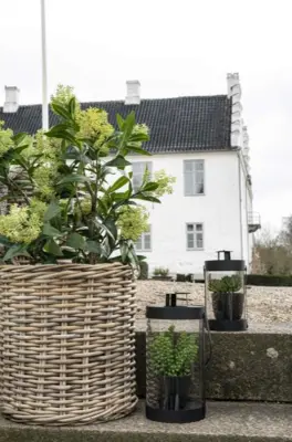 Kunstigt Skimma træ