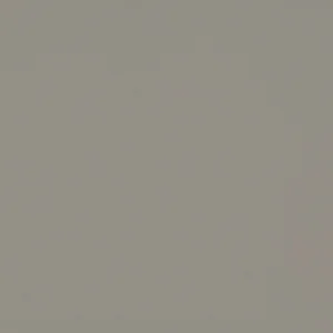 Bordlinoleum - Forbo Furniture Desktop Taupe