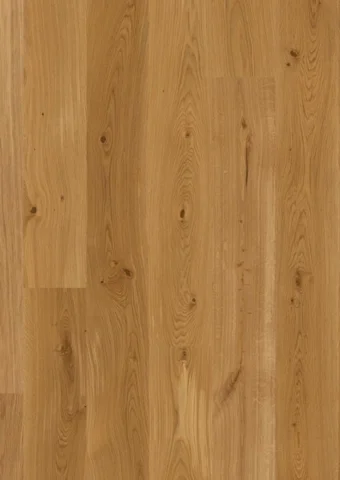 BOEN Eg Animoso, Plank