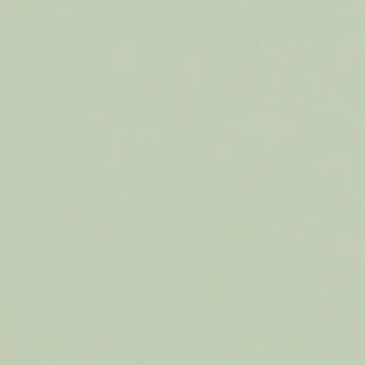 Bordlinoleum - Forbo Furniture Desktop Pistachio