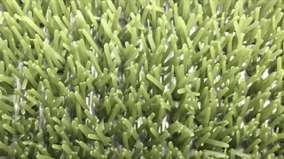 Astroturf måtte grøn 
