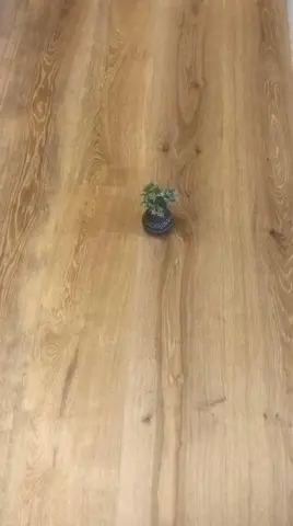 FloorMaster Herregårdsplank - Eg creme mat lak 260 mm. - UDSOLGT TIL UGE 35.