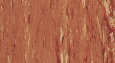 1055 Apricot