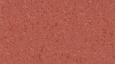 6055 Tomato