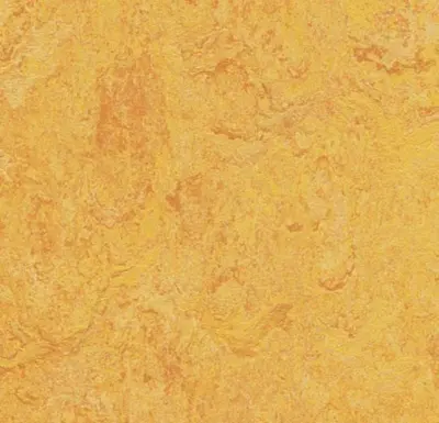 Marmoleum  Real - Dandelion 