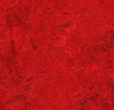Marmoleum  Real - Bleeckerstreet 