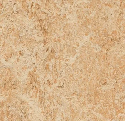 Marmoleum  Real - Shell 