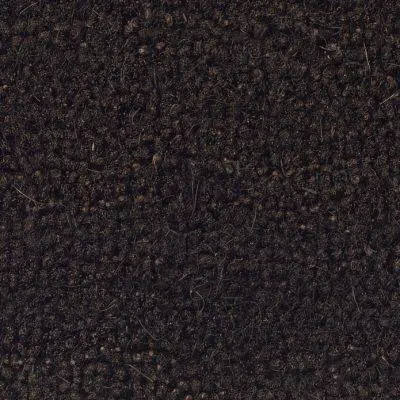 25202