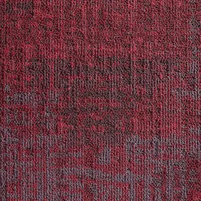 029