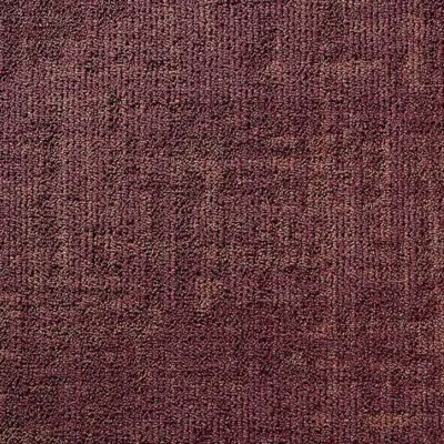 031