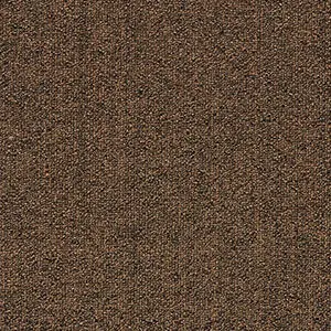 64048