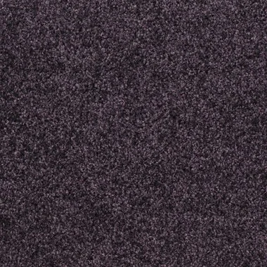 T371650