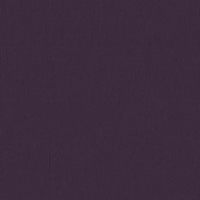 Elderberry