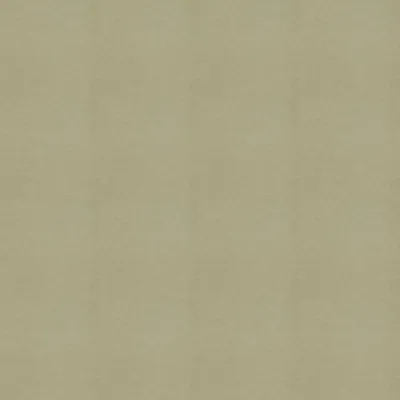 Turtledove