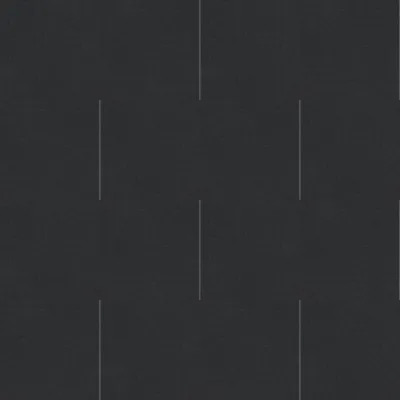 Coal