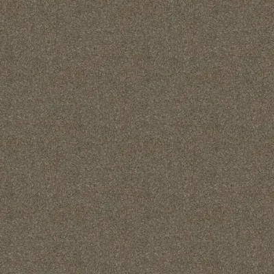 Nutmeg (SD)
