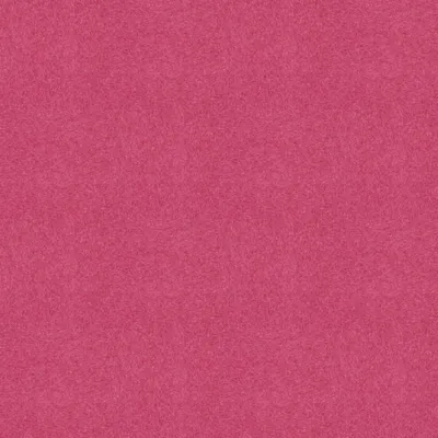 Pashmina (PD)