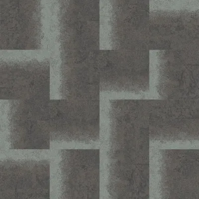 327113 Granite-lichen