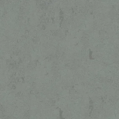 327120 Lichen