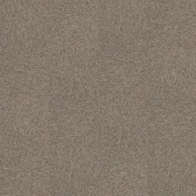 Nutmeg