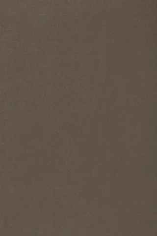 1021 5P96