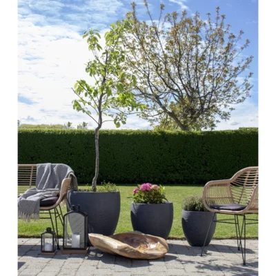 Trieste natur rattan stol