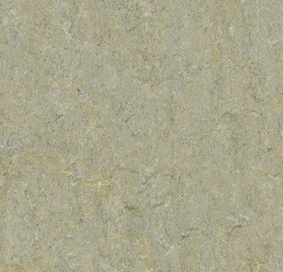 Marmoleum Terra - River Bank