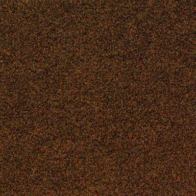 2051