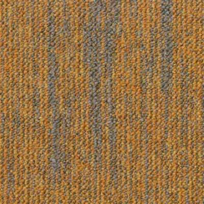 6017