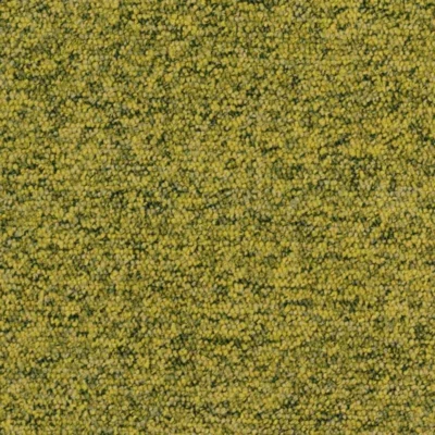 6203