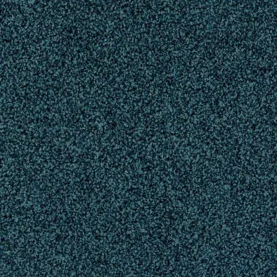 8161