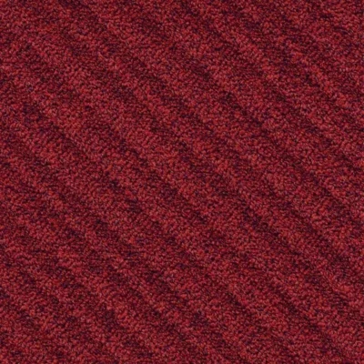 4207