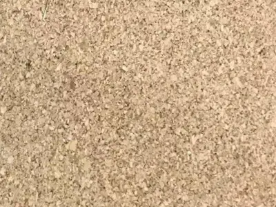 LVT vinylklik - Kingsize, Lys Natur 185