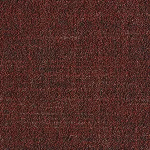 44048