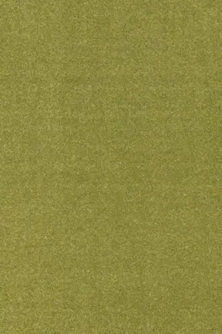 Grøn-001 030
