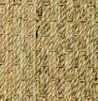 Rangoon, Søgræs