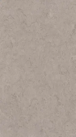 DLW Marmorette linoleum, Shiitake Mushroom 