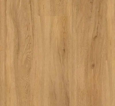 Parador Vinyl Basic 2.0 Plank - Eg Sierra natur, Børstet struktur  