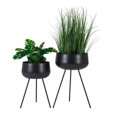 Ardola, blomsterstandere