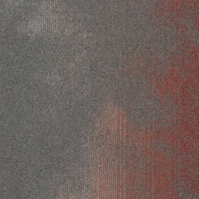 5031