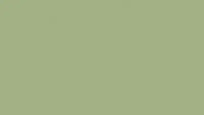 Tarkett LinoWall Olive