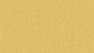 Style Emme xf² Gold 